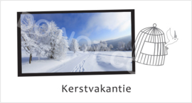 Kerstvakantie - STV