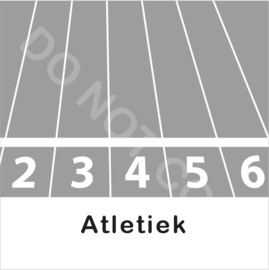 ZW/W - Atletiek