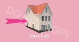 Naar huis - T-M/TV