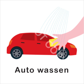 BASIC - Auto wassen