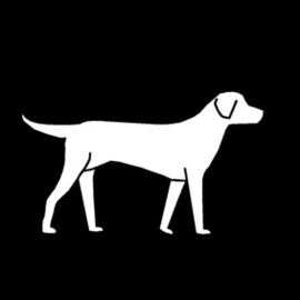 2.044 Grote hond