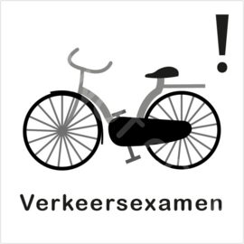 ZW/W - Verkeersexamen