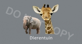 Dierentuin - T/V