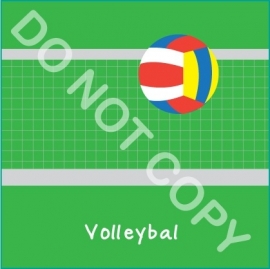 Volleybal (S&H)