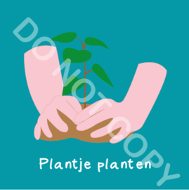 Plantje planten (act.)