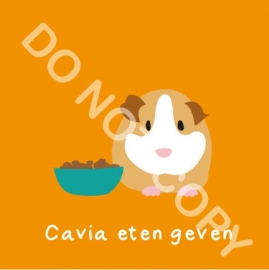 Cavia eten geven (K)