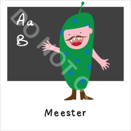 Meester 1 (S)