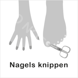 ZW/W - Nagels knippen H&V