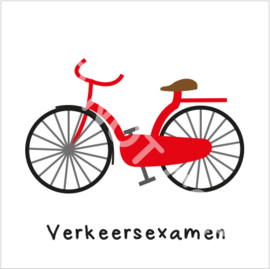 Verkeersexamen (S)