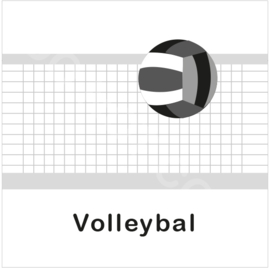 ZW/W - Volleybal