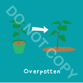Overpotten (act.)