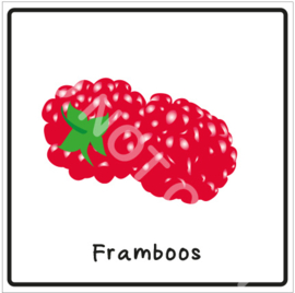 Fruit - Framboos (Eten)