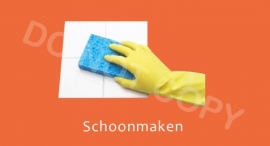 Schoonmaken - T/V