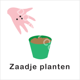 BASIC - Zaadje planten pot
