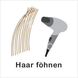 BASIC - Haar föhnen