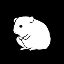 2.018 Hamster
