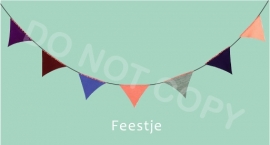 Feestje TV