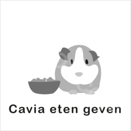 ZW/W - Cavia eten geven