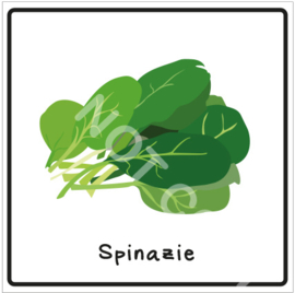 Groente - Spinazie (Eten)