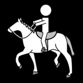 14.016 Paardrijden