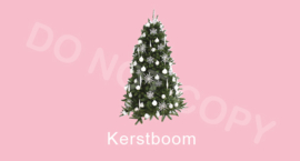Kerstboom - T-M/TV