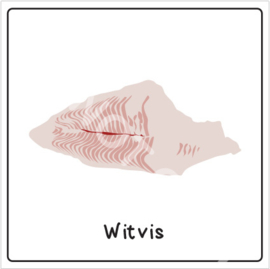 Vis - Witvis