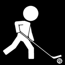 14.020 Hockey