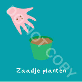 Zaadje planten pot (act.)