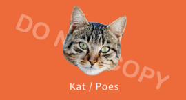 Kat / Poes - T/V
