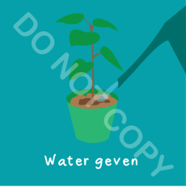 Water geven potplant (act.)