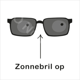 ZW/W - Zonnebril op