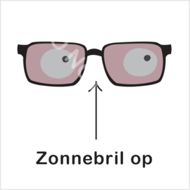 BASIC - Zonnebril op