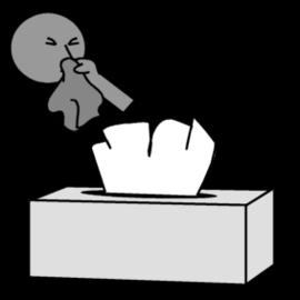 13.046 Tissues/ neus snuiten