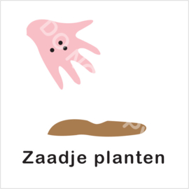 BASIC - Zaadje planten