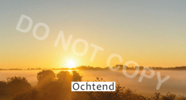 Ochtend - T&V