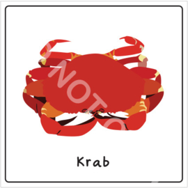 Vis - Krab