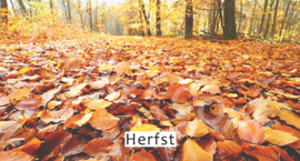 Herfst - T&V