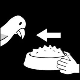 2.016 Vogel voeren