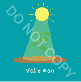 Volle zon (act.)