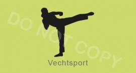 Vechtsport - J