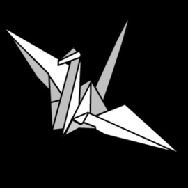 7.046 Origami/ vouwen