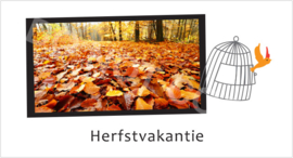 Herfstvakantie - STV