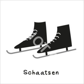 Schaatsen (S)