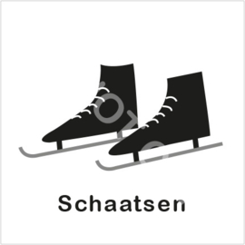 ZW/W - Schaatsen