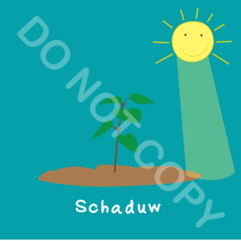 Schaduw (act.)