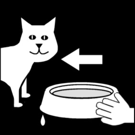 2.028 Kat/ poes voeren