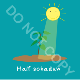 Half schaduw (act.)