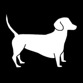 2.042 Kleine hond