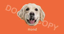 Hond - T/V