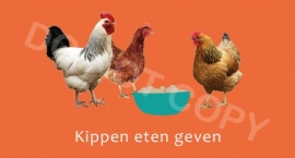 Kippen eten geven - T/V